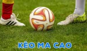 Kèo Ma Cao Là Gì? Toàn Tập Bí Thuật Đọc Vị Tỷ Lệ Handicap Ma Cao