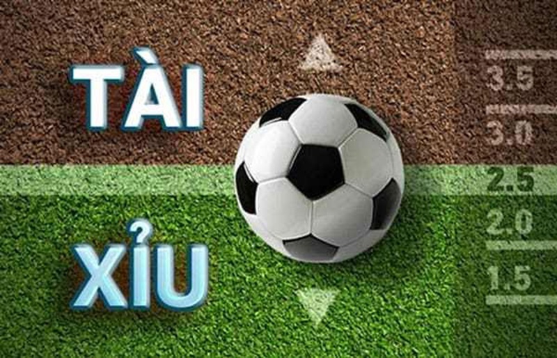 Tài Xỉu 3.5 Trái Là Gì? Chiến Thuật Chinh Phục Kèo Ba Trái Rưỡi